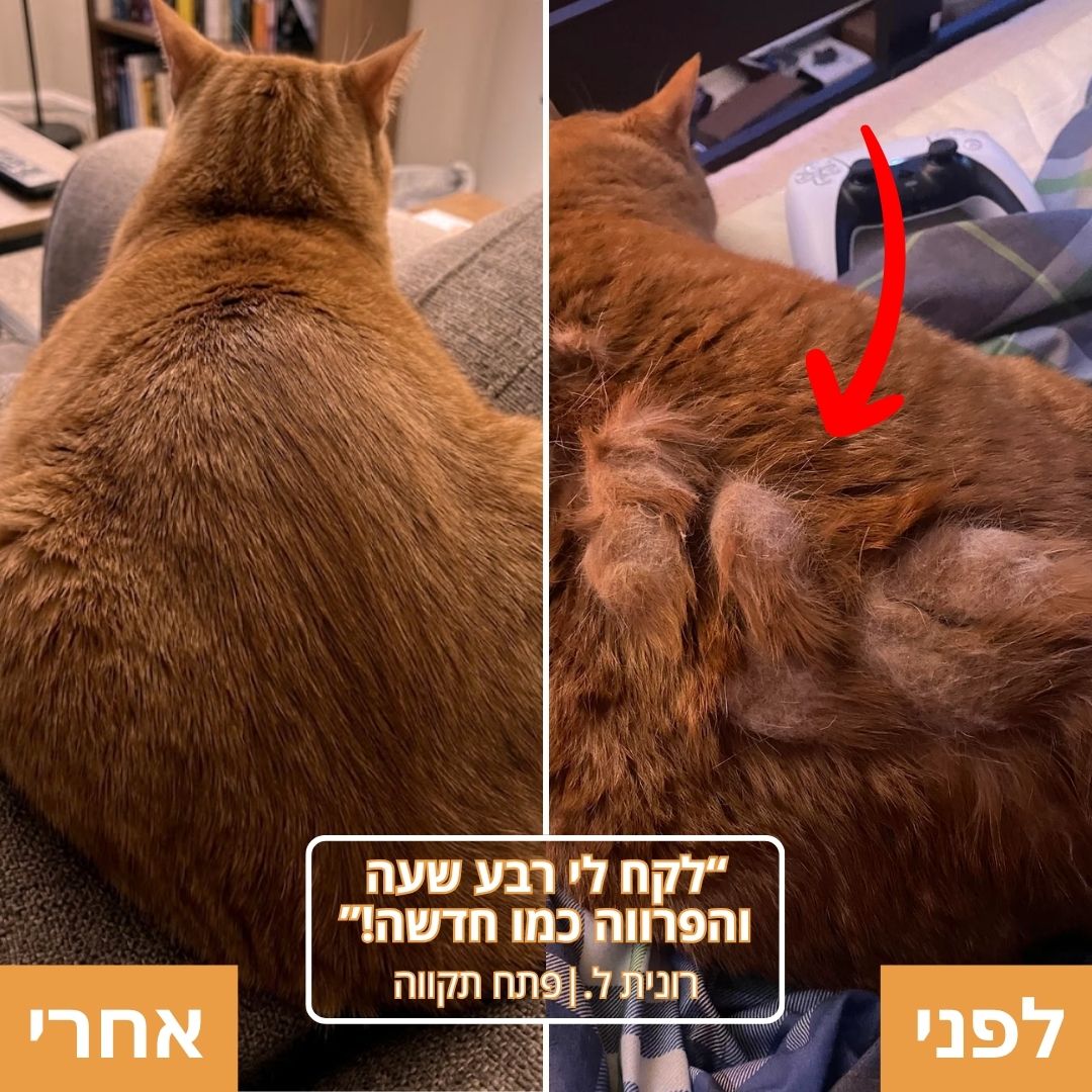 המכונה להסרת קשרים וראסטות של Pelmora
