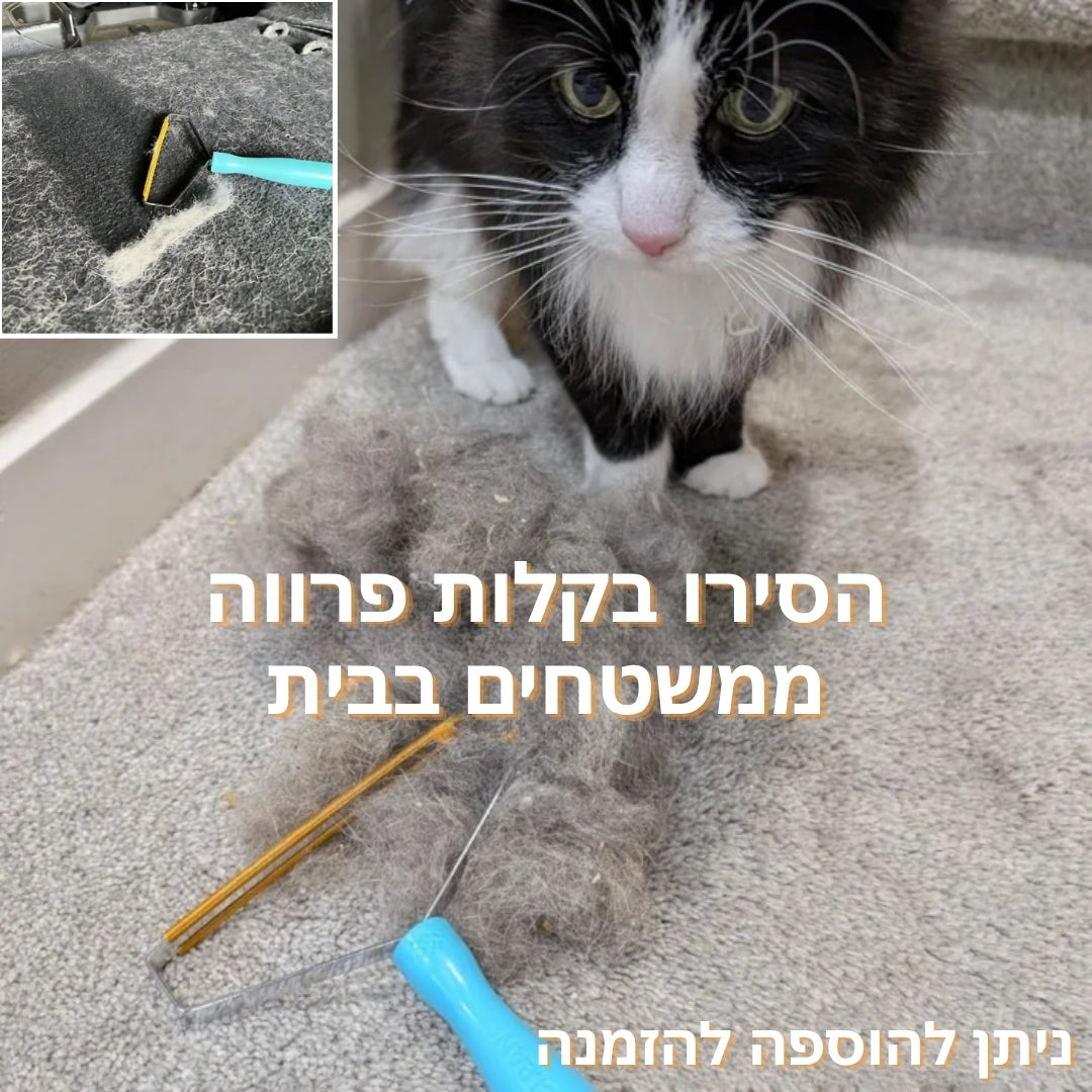 מכונת תספורת לחתולים
