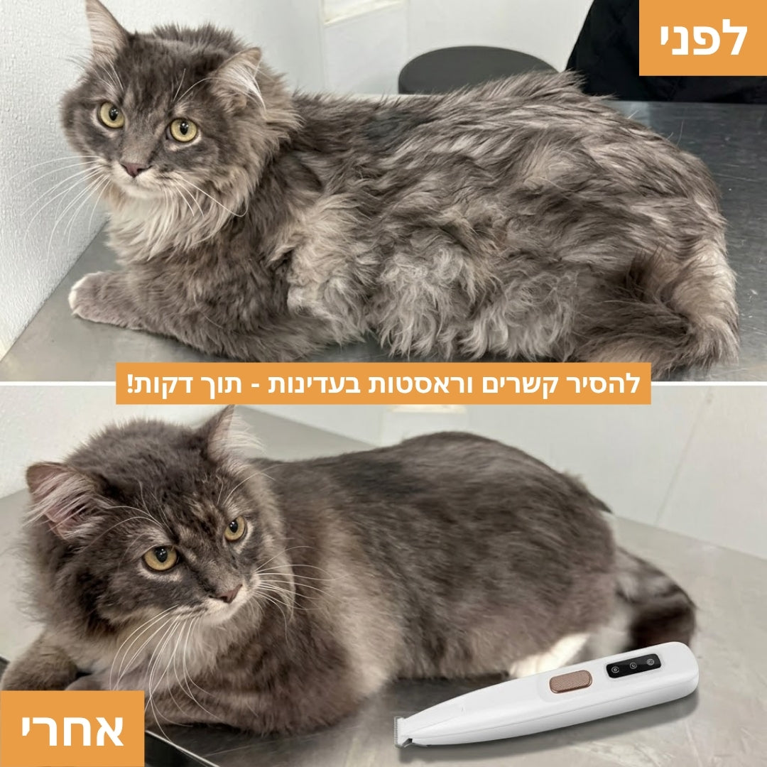 מכונת תספורת לחתולים
